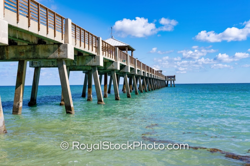 Documenting Afternoon Activities at Juno Beach Pier in Buzzing Coastal Paradise on US Highway 1 20251121