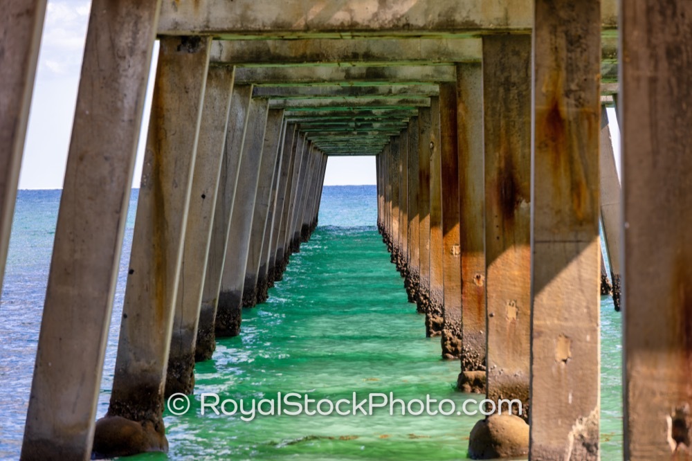 Dynamic Activities Capture Vibrant Beach Community Life Underneath Juno Beach Pier in Floridas Palm Beach County on US Highway 1 20251121
