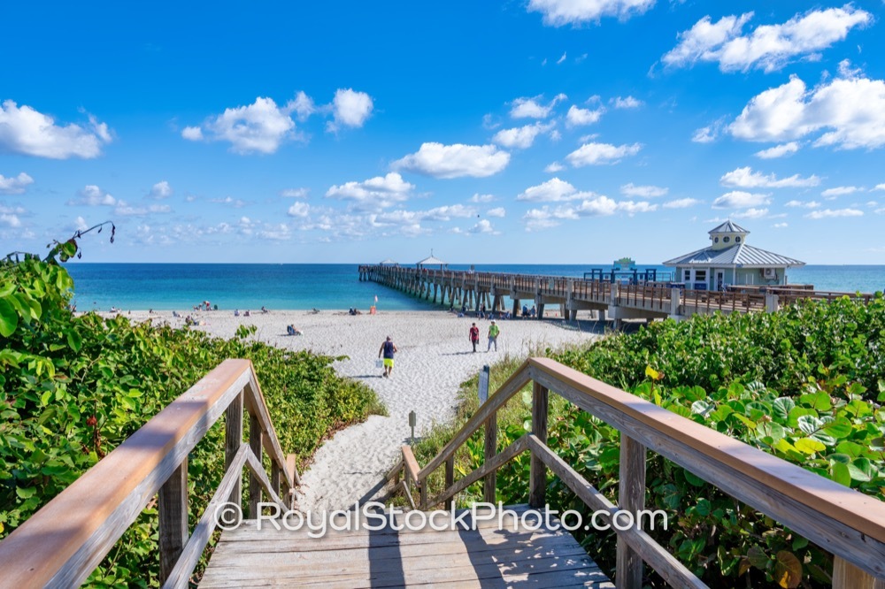 Protecting Coastal Ecosystems at Juno Beach Pier While Visitors Enjoy the Outdoors on US Highway 1 20251121