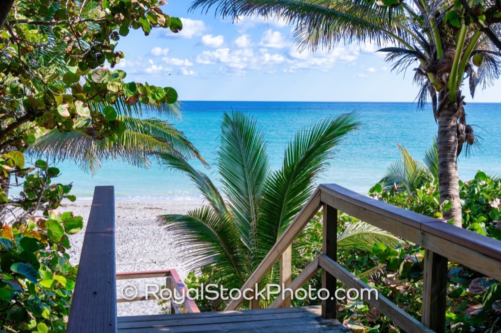 Luxury Waterfront Living with Direct Access to Pristine Jupiter Dog Beach on South State Highway A1A 20251121