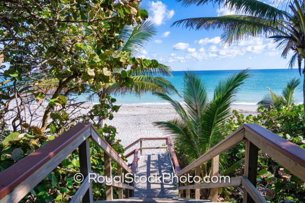 Unwind at Jupiters Hidden Beach Escape Access to Scenic Dog Beach on a Sunny Afternoon on South State Highway A1A 20251121