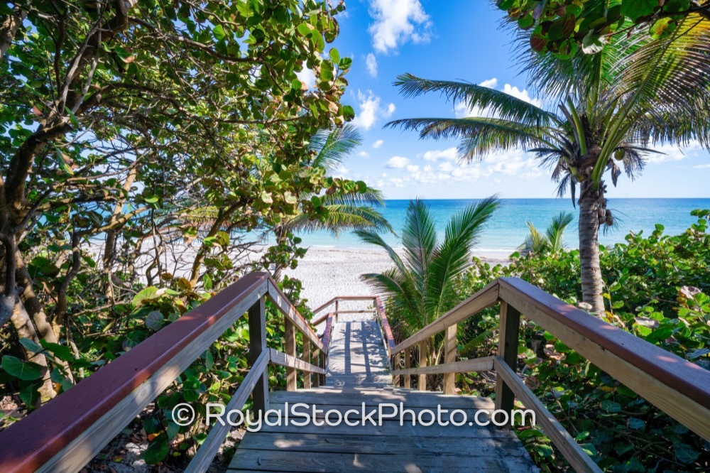 Easy Beach Access and Lush Scenic Pathway Invite Guests to Jupiters Dog Beach on South State Highway A1A 20251121