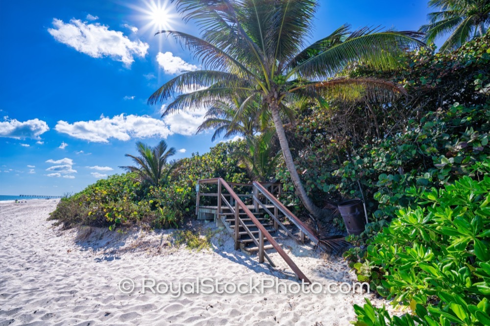 Lifestyle and Recreation Flourish at Jupiter Beach Park with Scenic Palm Trees and Ocean Access on Jupiter Beach Road 20251121