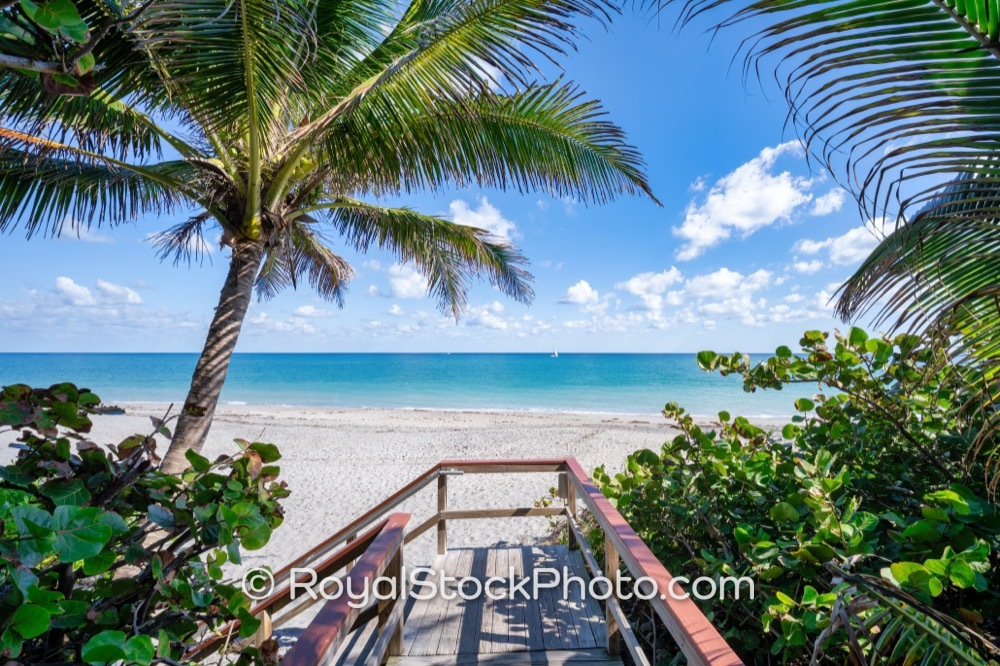 Expansive Ocean Views Enhance Luxury Property Appeal at Jupiter Beach Park in Florida on Jupiter Beach Road 20251121