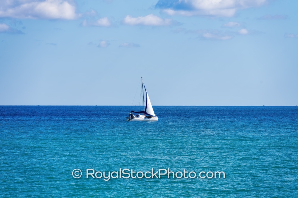 Luxury Beachfront Property with Sailing Experiences Highlights Dog Beach in Jupiter Florida on South State Highway A1A 20251121