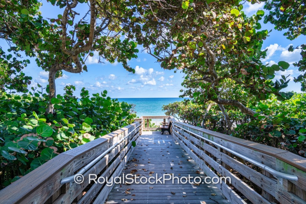 Escape to Jupiter Beach Access Offering Inviting Atmosphere and Relaxation in Palm Beach County on Jimmy Buffett Memorial Highway 20251121