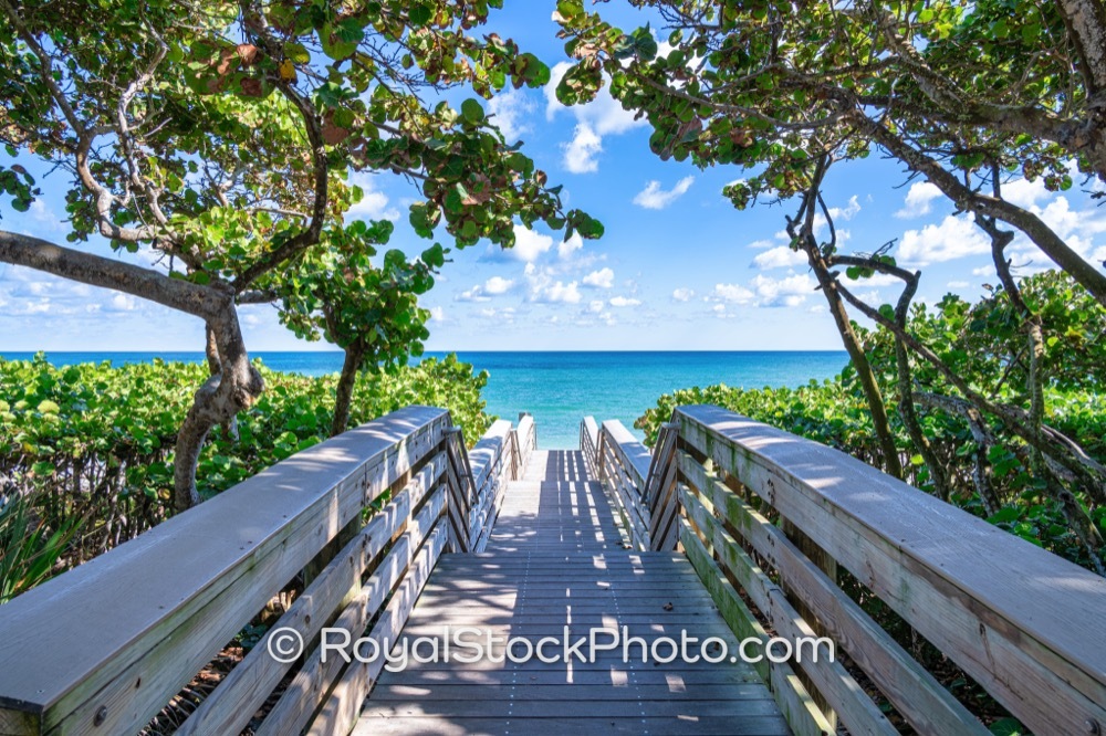Unwind in the Breathtaking Scenery of Jupiter Beach Park on Floridas Atlantic Coast on Jupiter Beach Road 20251121