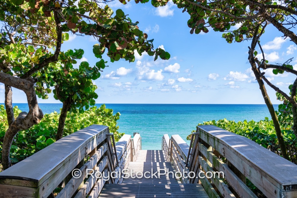 Inviting Jupiter Beach Access Boardwalk Offers Relaxing Pathway to Coastal Adventures in Florida on Jimmy Buffett Memorial Highway 20251121