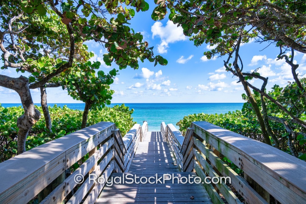 Coastal Access Enhances Conservation Efforts Along Stunning Jupiter Beach in Florida on Jimmy Buffett Memorial Highway 20251121