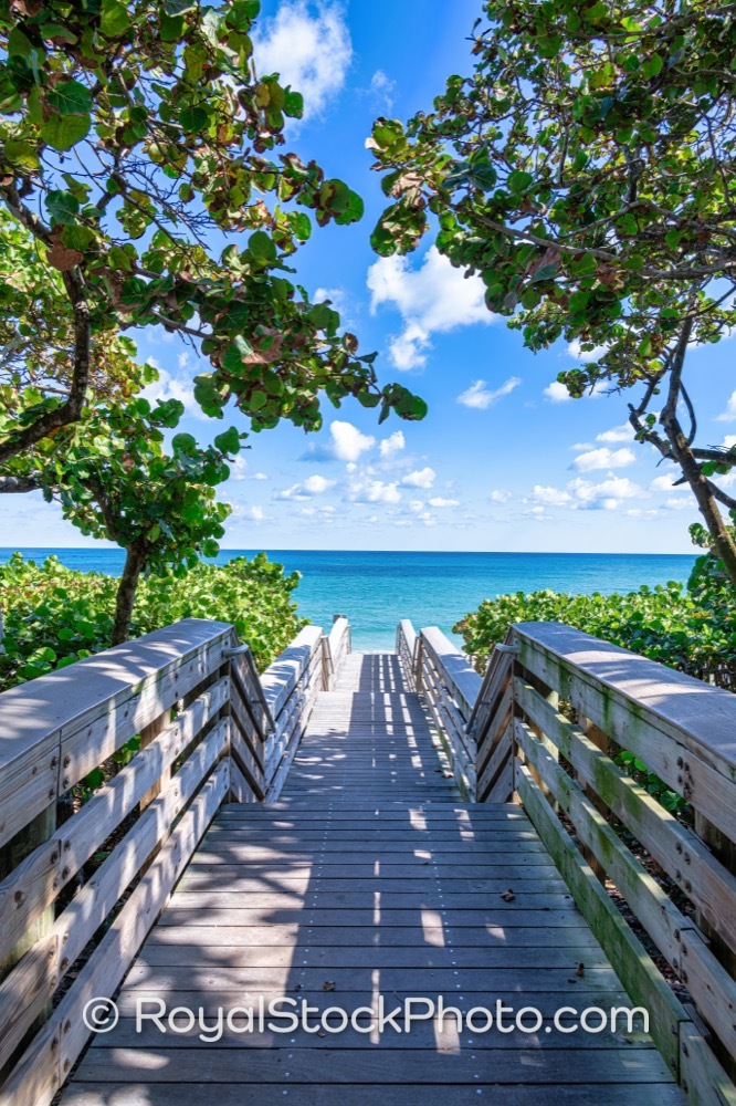 Inviting Boardwalk Pathway to Jupiter Beach Experience Awaits Adventure Seekers on Jimmy Buffett Memorial Highway 20251121