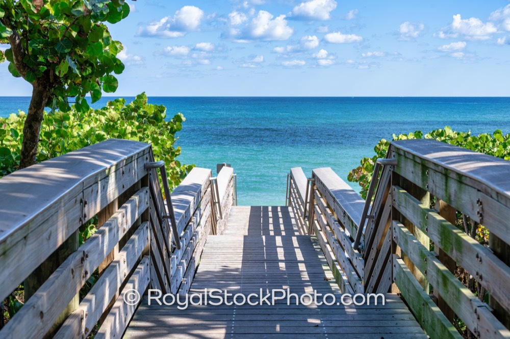 Natural Coastal Habitat at Jupiter Beach Park Supports Diverse Ecosystems in Florida on Jupiter Beach Road 20251121