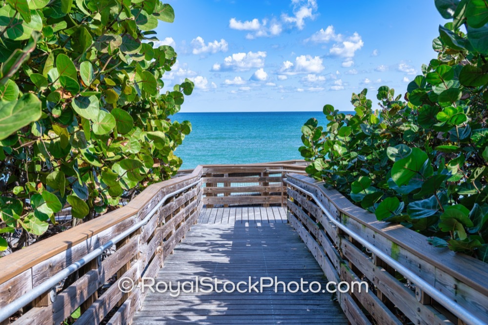 Preserving Coastal Ecosystems While Enjoying Accessible Trails at Jupiter Beach on Jimmy Buffett Memorial Highway 20251121