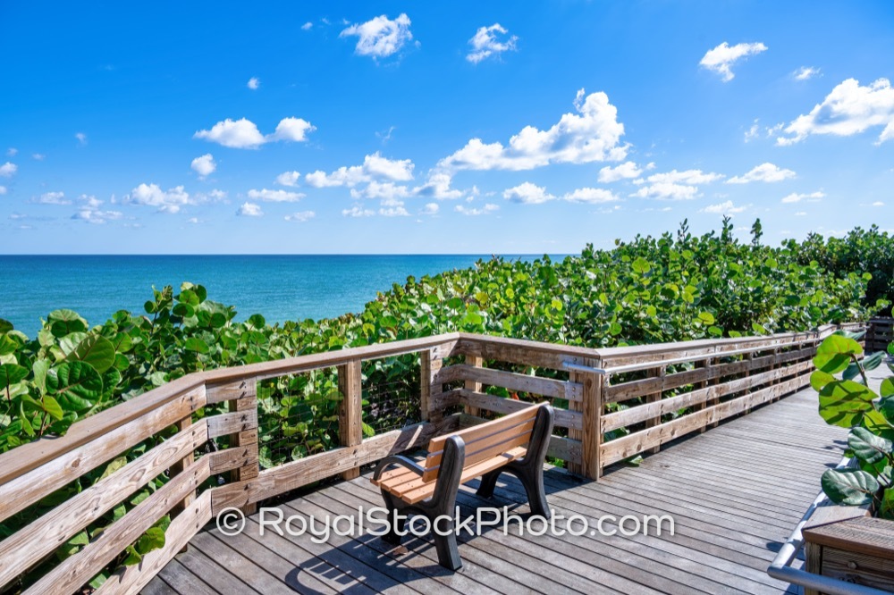 Uncover Exciting Coastal Adventures Along Ocean Pathway to Jupiter Beach in Florida on Ocean Boulevard 20251121