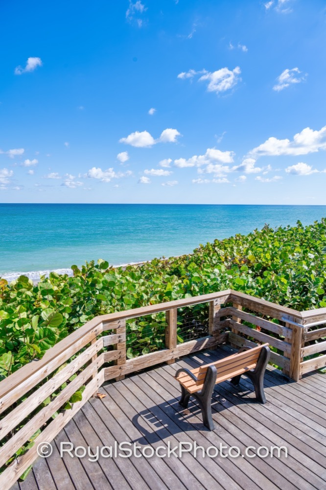 Observe Coastal Charm from the Jupiter Beach Deck in Sunny Florida on Ocean Boulevard 20251121
