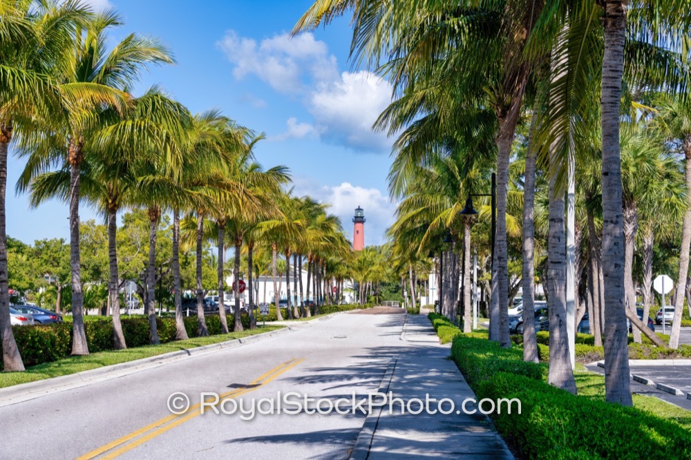 Revel in the Sparkling Palm TreeLined Streets Leading to Jupiter Inlet Lighthouse in Sunny Florida on Lighthouse Road 20251121
