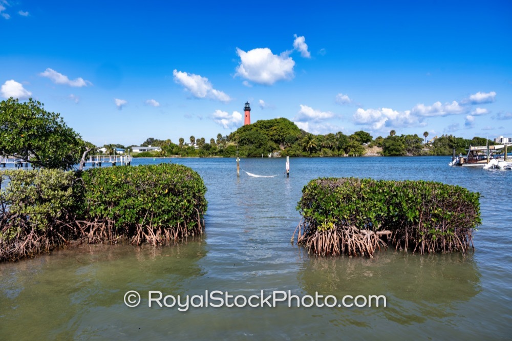 Preserve Local Wildlife Habitat While Visiting Iconic Jupiter Inlet Lighthouse in Afternoon Sunshine on Lighthouse Road 20251121