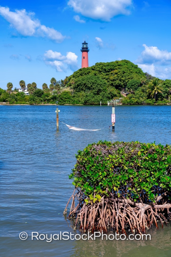 Explore Iconic Jupiter Inlet Lighthouse Amidst Scenic Mangroves in Bettys Bay Florida on Lighthouse Road 20251121