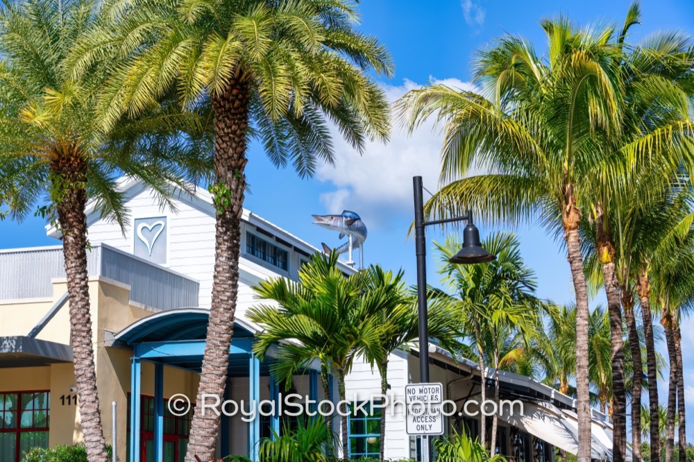 Preserve Junction of Nature and Community Love Street Park Showcases Jupiters Coastal Ecosystem on Lighthouse Road 20251121