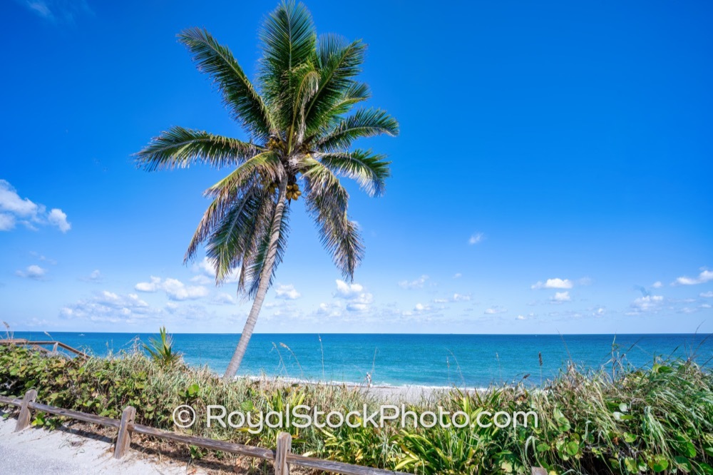 Luxury Waterfront Lifestyle Opportunities Off the Beautiful Shores of Jupiter Beach in Palm Beach County on Jupiter Beach Road 20251121