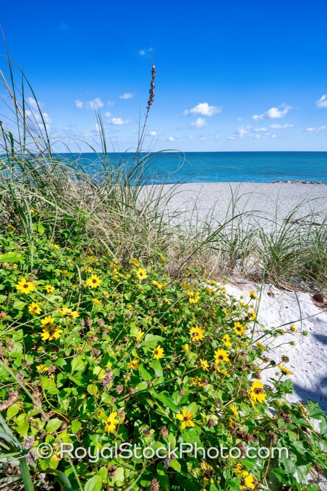 Coastal Destination Offers Vibrant Scenic Beauty and Recreation Options at Coral Cove Park on South Beach Road 20251121