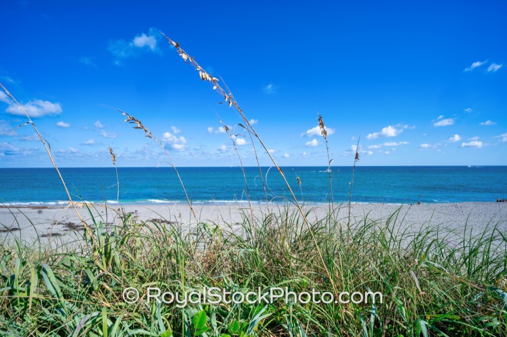 Quality Recreational Access at Jupiter Beach Park Highlights an Active Family Lifestyle on Jupiter Beach Road 20251121