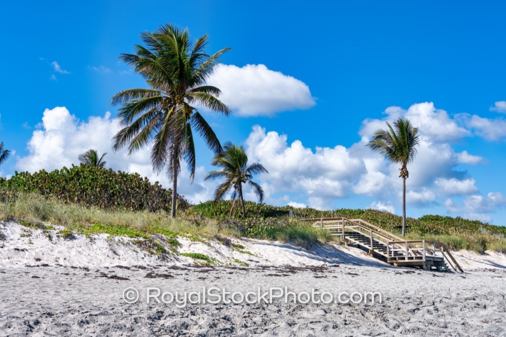 Unwind and Connect with Nature at the Pristine Jupiter Beach Park in Florida on Jupiter Beach Road 20251121