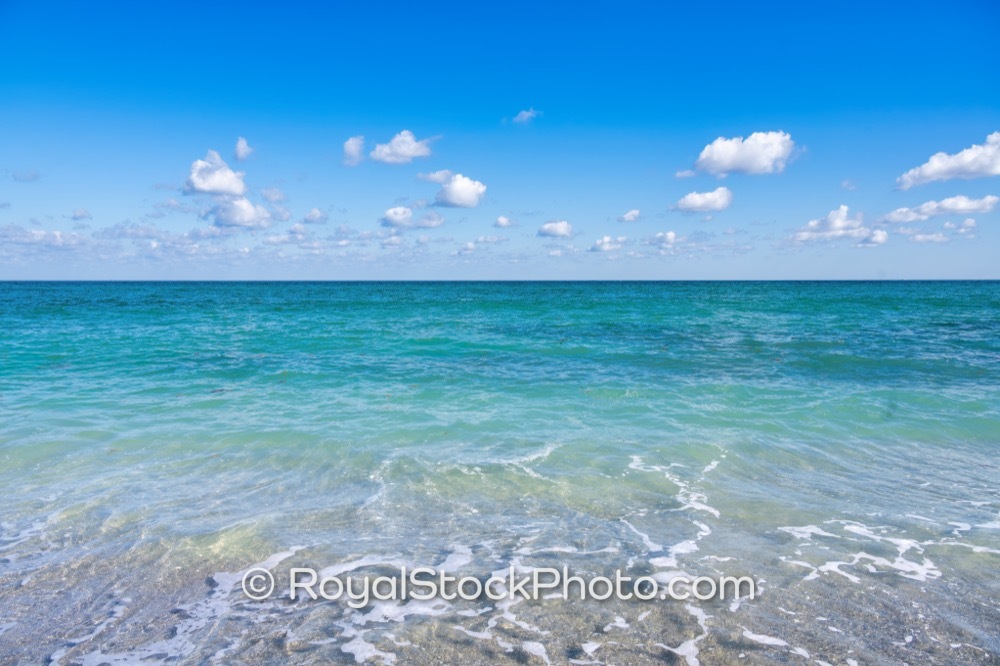 Waterfront Property Opportunities Showcase Lush Tropical Experience at Jupiter Beach Park in Florida on Jupiter Beach Road 20251121