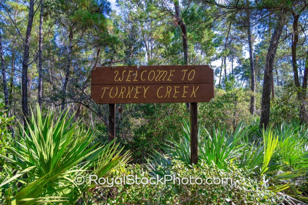 Native Ecosystems Flourish at Turkey Creek Sanctuary A Key Conservation Area in Palm Bay on Port Malabar Boulevard Northeast 20251122