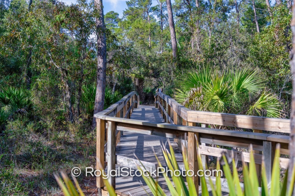 Unique Wildlife and Trail Experiences Await Visitors at Turkey Creek Sanctuary in Palm Bay Florida on Port Malabar Boulevard Northeast 20251122