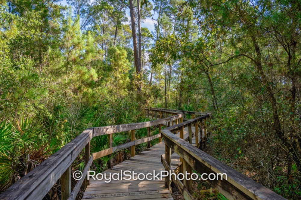Discover EcoTrails at Turkey Creek Sanctuary for Nature Enthusiasts in Palm Bay Florida on Port Malabar Boulevard Northeast 20251122