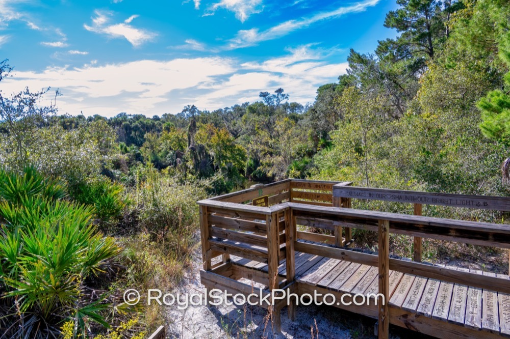 Unique Nature Trail Offers Picturesque Views of Turkey Creek Sanctuary in Palm Bay Florida on Port Malabar Boulevard Northeast 20251122