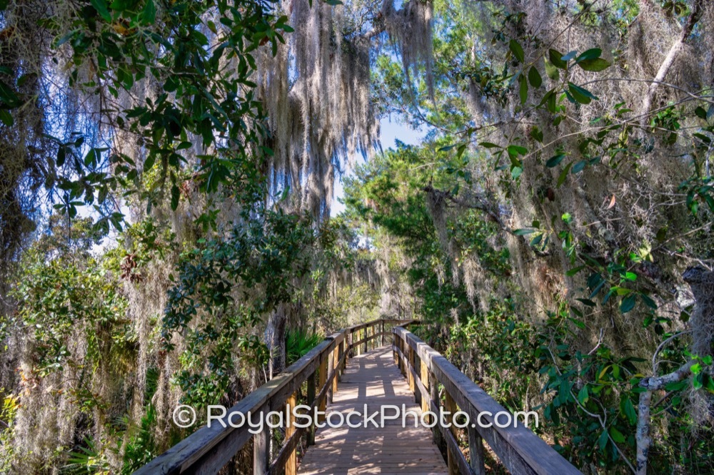 Coastal Ecosystem Thrives in Turkey Creek Sanctuary Offering Nature Lovers a Scenic Retreat in Palm Bay Florida on Port Malabar Boulevard Northeast 20251122