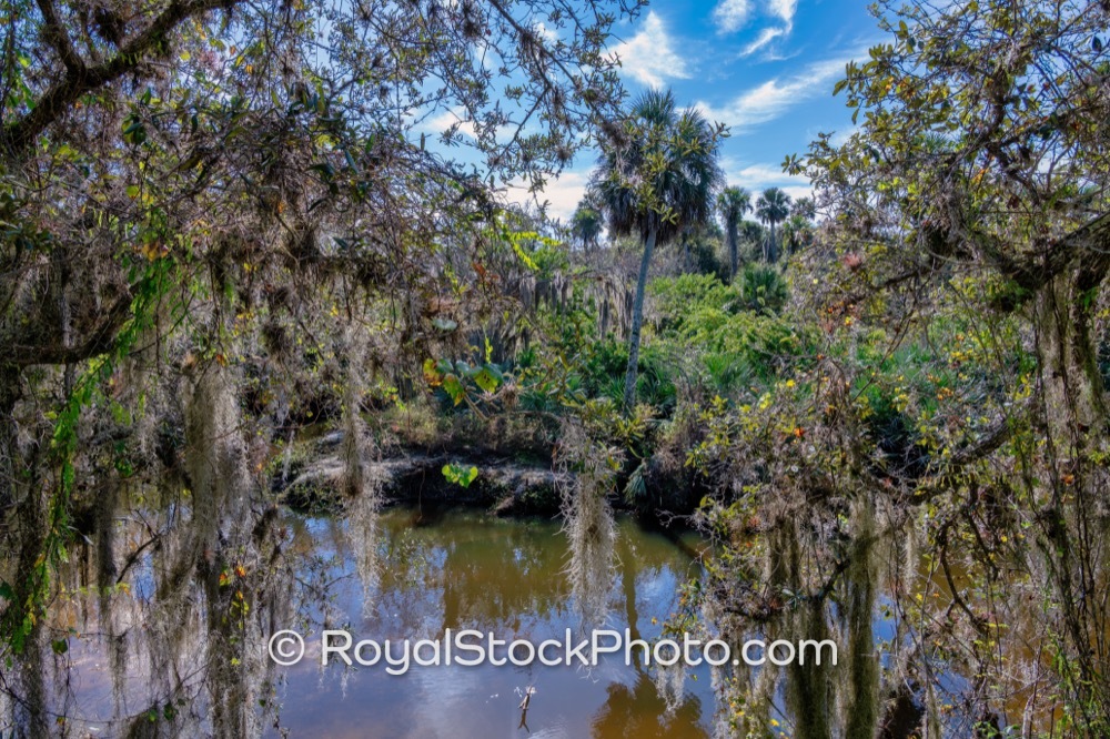 Preserve Includes Diverse Ecosystems Perfect for Nature Conservation Activities in Palm Bay Florida on Port Malabar Boulevard Northeast 20251122