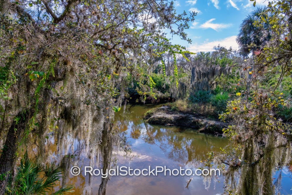 Discover Natures Haven Featuring Scenic Waterways and Lush Vegetation at Turkey Creek Sanctuary in Palm Bay on Port Malabar Boulevard Northeast 20251122