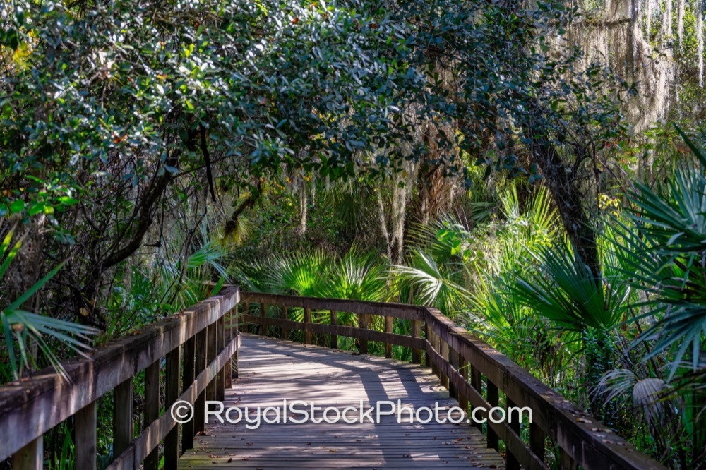 Engaging Nature Trails Offer Exciting Outdoor Experiences for Visitors at Turkey Creek Sanctuary in Palm Bay on Port Malabar Boulevard Northeast 20251122