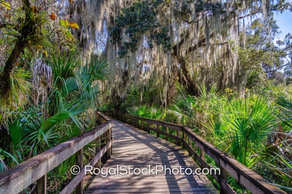 Preserving Native Ecosystems Through Engaging Trails at Turkey Creek Sanctuary in Palm Bay Florida on Port Malabar Boulevard Northeast 20251122