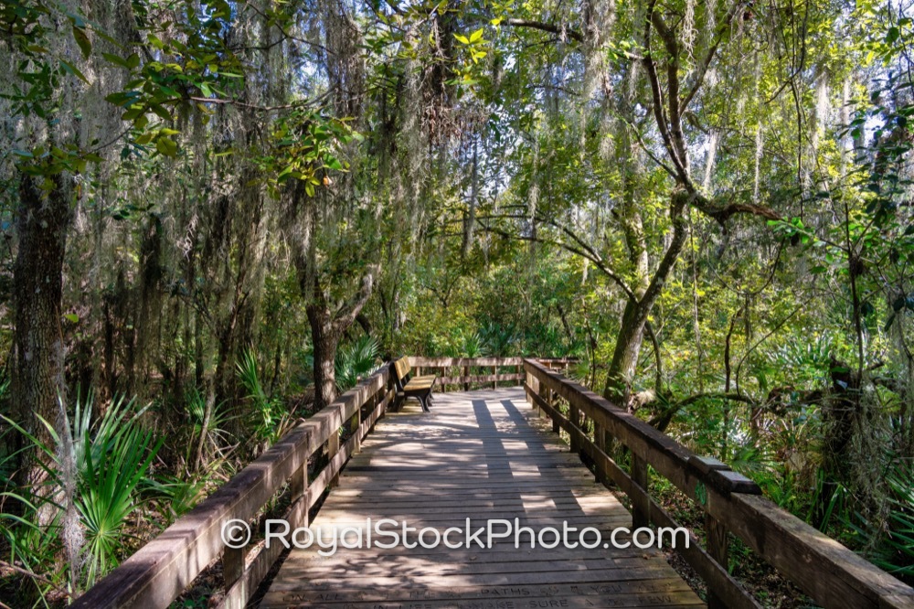 Explore Thriving Ecosystems at Turkey Creek Sanctuary for Conservation Enthusiasts in Palm Bay Florida on Port Malabar Boulevard Northeast 20251122