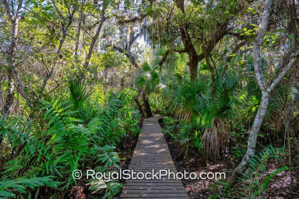 Vibrant Nature Trails Highlight Recreational Opportunities at Turkey Creek Sanctuary in Palm Bay Florida on Port Malabar Boulevard Northeast 20251122