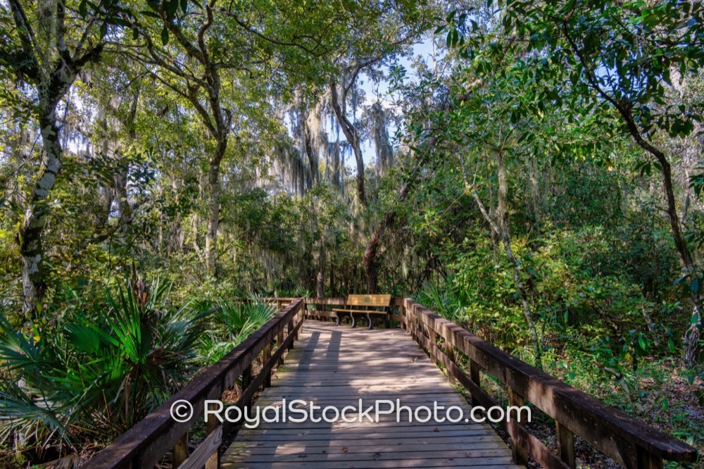 Protecting Vital Wildlife Habitat Showcases Nature Trails at Turkey Creek Sanctuary in Palm Bay Florida on Port Malabar Boulevard Northeast 20251122
