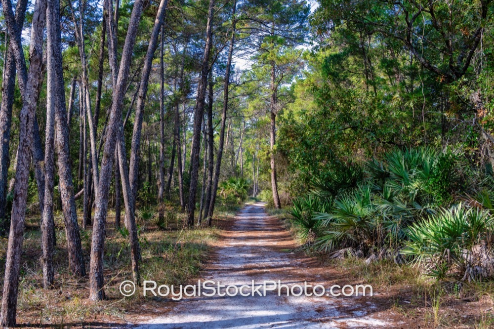 Inviting Nature Trail Reveals Abundant Wildlife and Scenic Views at Turkey Creek Sanctuary in Palm Bay Florida on Port Malabar Boulevard Northeast 20251122