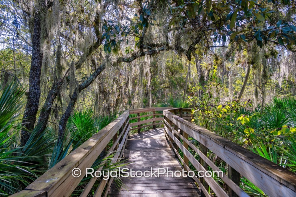 Inviting Boardwalk Trails Provide Outdoor Recreational Access at Turkey Creek Sanctuary in Palm Bay Florida on Port Malabar Boulevard Northeast 20251122