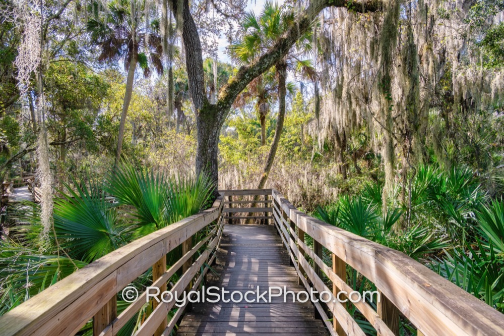 Scenic Boardwalk Trails Invite Nature Enthusiasts to Discover Turkey Creek Sanctuary in Palm Bay Florida on Port Malabar Boulevard Northeast 20251122