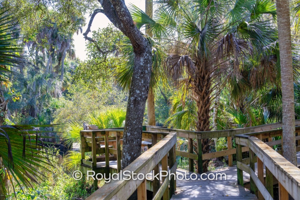 Habitat Preservation Initiatives Highlight Boardwalk Trails at Turkey Creek Sanctuary in Palm Bay Florida on Port Malabar Boulevard Northeast 20251122
