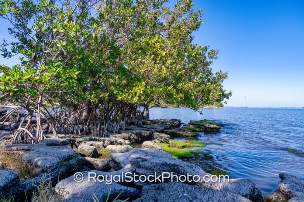 Unique Waterfront Features and Coastal Serenity Captured at Castaways Point Park in Palm Bay Florida on Bay Boulevard Northeast 20251122