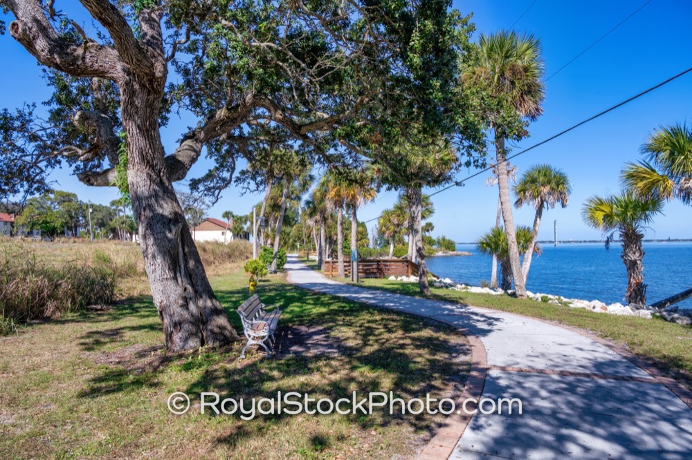 Native Flora and Wildlife Flourish at Castaways Point Park in Palm Bay ...