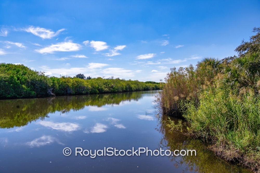 Afternoon Reflection Scene Along Ais Trail Parks Tranquil Waterway in Palm Bay Florida on Hickory Avenue Northeast 20251122