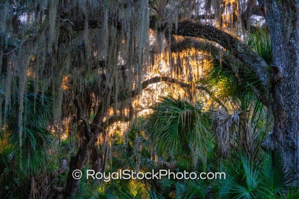 Join Adventurers Exploring Natures Wonders at Turkey Creek Kayak Access Point During Sunset in Palm Bay Florida on Briar Creek Boulevard 20251122