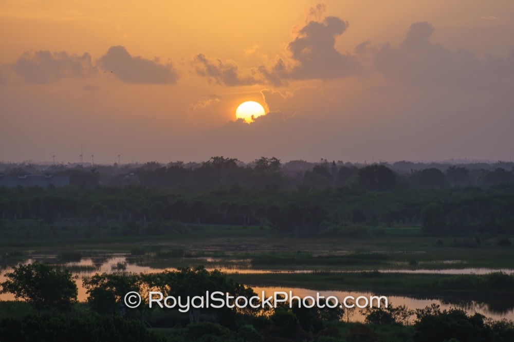 Embrace the Morning Light Surrounded by Native Flora at Wellington Environmental Preserve on Flying Cow Ranch Road 20190707