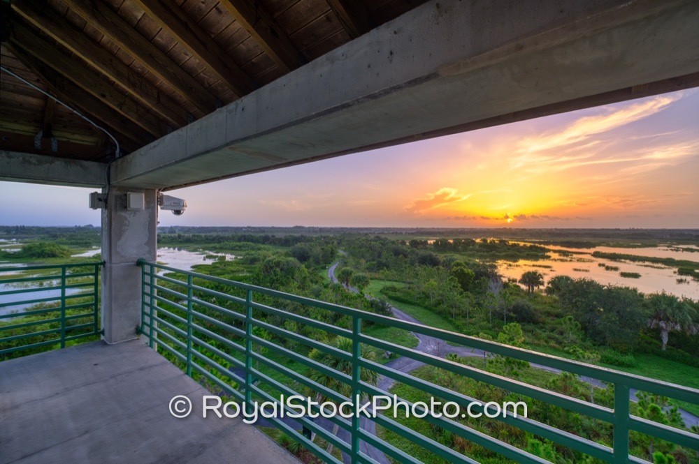 EcoConscious Beauty Unveiled at Wellington Environmental Preserve During a Breathtaking Sunrise on Flying Cow Ranch Road 20190707