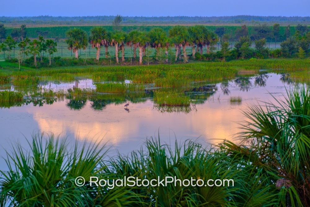 Access WellDesigned Nature Trails and EyeCatching Sunrise Reflections at Wellington Environmental Preserve in Loxahatchee on Flying Cow Ranch Road 20190707